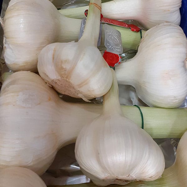 aglio-ortaggio-a-bulbo-negozio-novara aglio-ortaggio-a-bulbo-negozio-novara