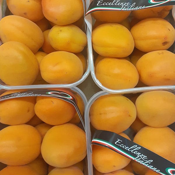 albicocche-buone albicocche-buone
