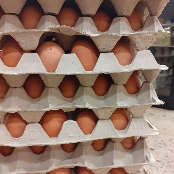 bottega-alimentare-prodotti-biologici-milano-novara