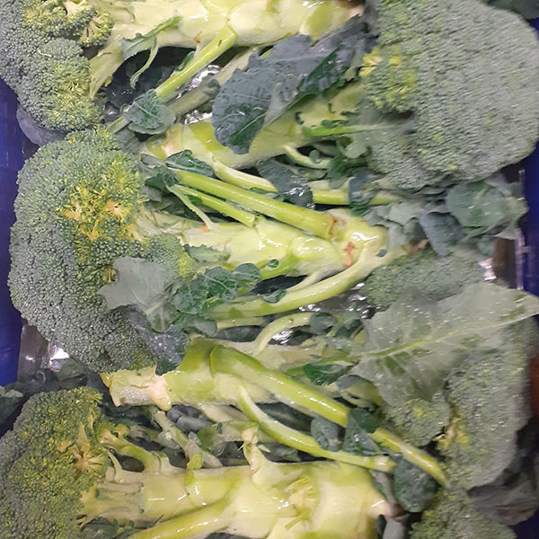 broccoli-negozio-ortofrutta broccoli-negozio-ortofrutta
