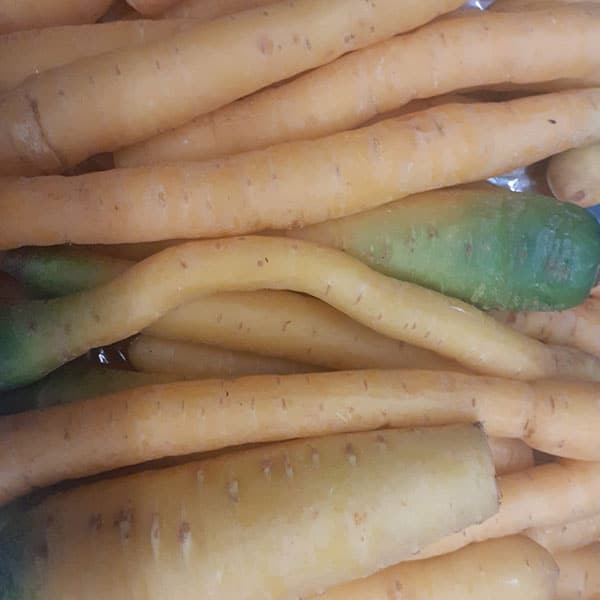 daikin-negozio-vendita-verdura-novara daikin-negozio-vendita-verdura-novara