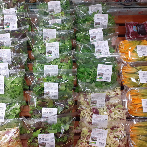 dove-acquistare-verdure-fresche-gia-pronte dove-acquistare-verdure-fresche-gia-pronte