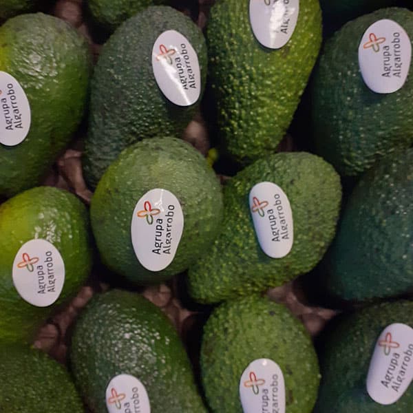 dove-si-puo-comprare-frutta-strana-esotica-buona