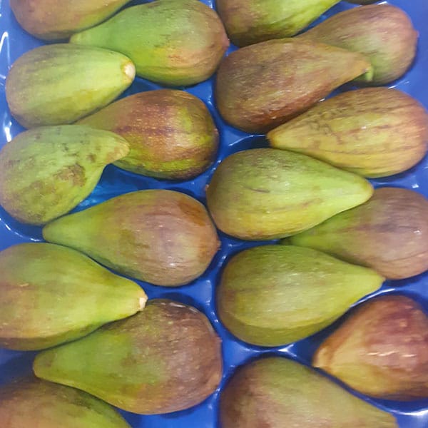 dove-trovare-fichi-buoni-vicino-milano dove-trovare-fichi-buoni-vicino-milano