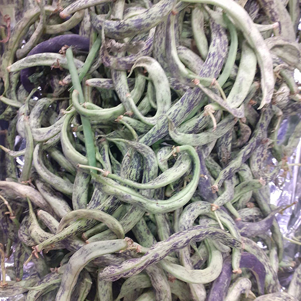 fagioli-borlotti-freschi-ortofrutta fagioli-borlotti-freschi-ortofrutta