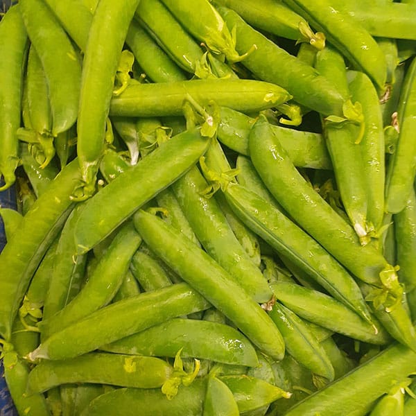 fagioli-verdi-vendita-verdure-leguminose-fresche fagioli-verdi-vendita-verdure-leguminose-fresche