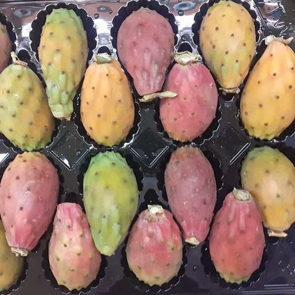 fichi-india-negozio-vicino-novara fichi-india-negozio-vicino-novara