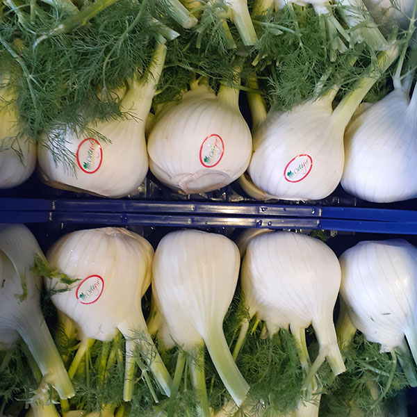 finocchi-freschi finocchi-freschi