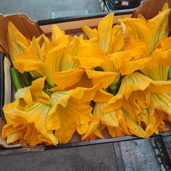 fiori-di-zucca-freschi-dove-comprarli fiori-di-zucca-freschi-dove-comprarli
