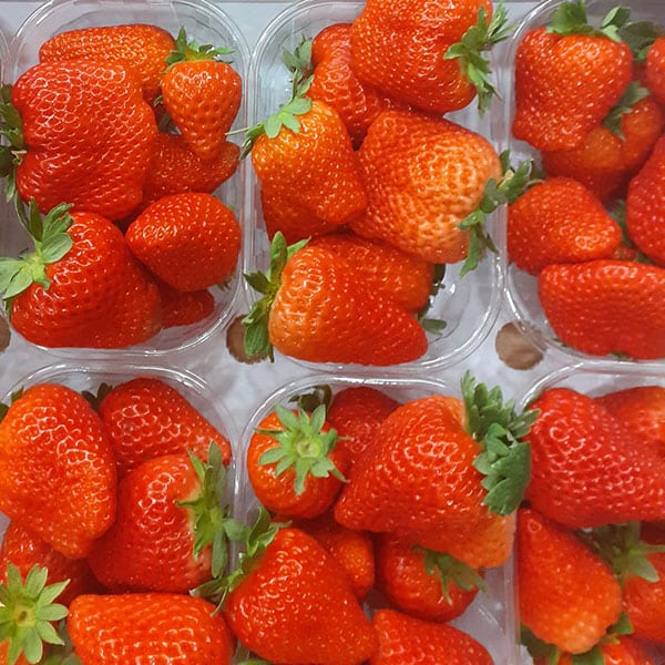 fragole-vendita-stagionali-quattro-stagioni fragole-vendita-stagionali-quattro-stagioni