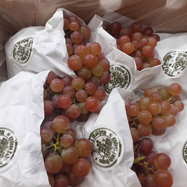 fruttivendolo-innovativo-uva fruttivendolo-innovativo-uva