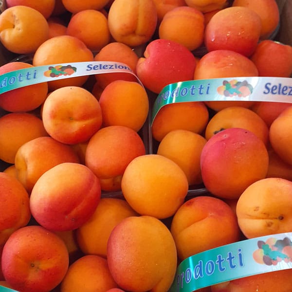 fruttivendolo-novara-milano