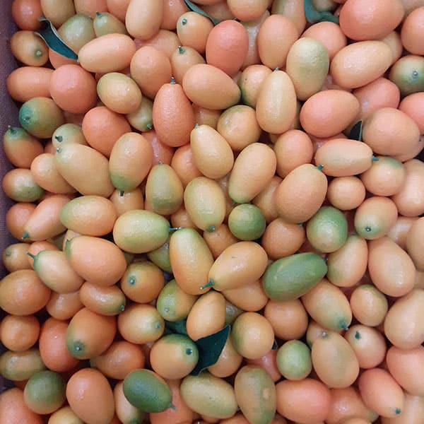 mandarini-cinesi-fruttivendolo mandarini-cinesi-fruttivendolo