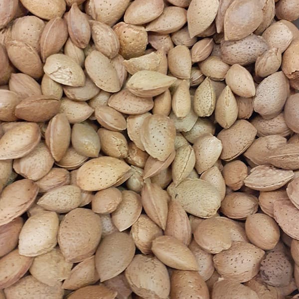 mandorle-col-guscio-frutta-secca mandorle-col-guscio-frutta-secca