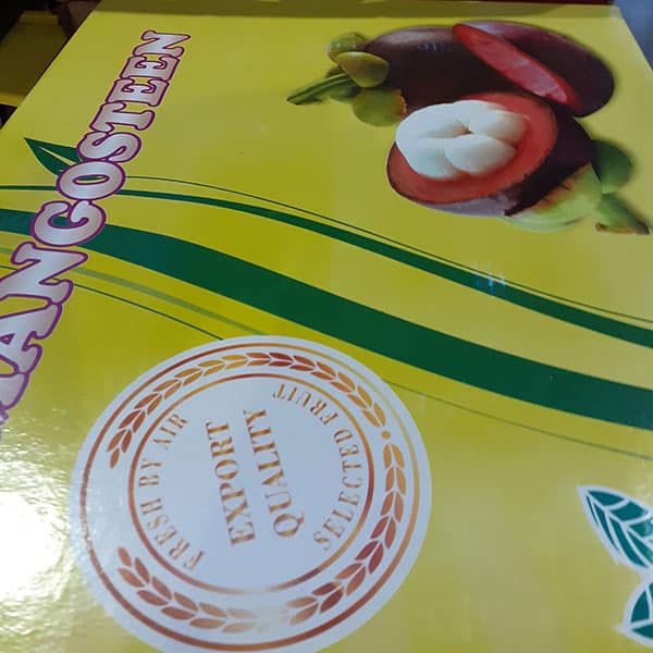 mangosteen-frutto-orientale-dove-si-trova mangosteen-frutto-orientale-dove-si-trova