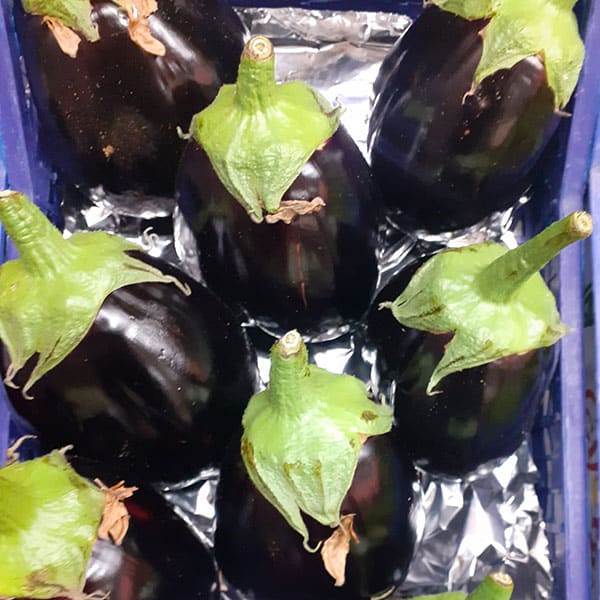 melanzane-verdura-a-frutto-negozio-ortofrutta melanzane-verdura-a-frutto-negozio-ortofrutta