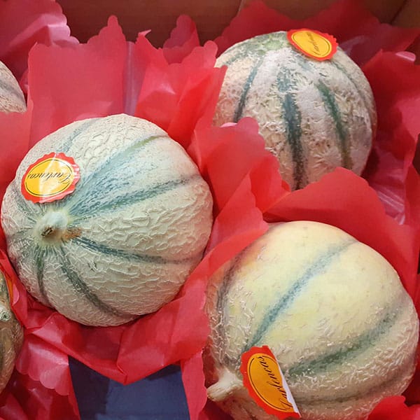 meloni-vendita-frutta meloni-vendita-frutta