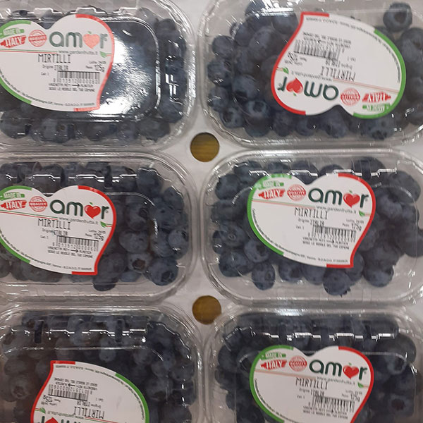 mirtilli-frutti-di-bosco mirtilli-frutti-di-bosco