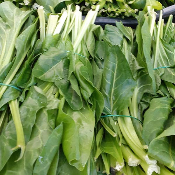 negozio-ortaggi-foglia-lunga-bietole-milano negozio-ortaggi-foglia-lunga-bietole-milano