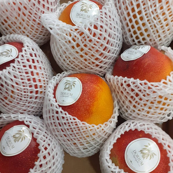 negozio-vendita-frutta-esotica-via-aerea-milano negozio-vendita-frutta-esotica-via-aerea-milano