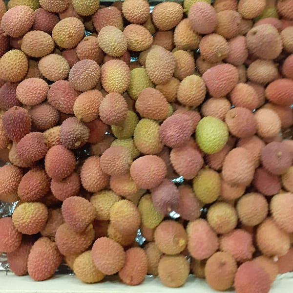 negozio-vendita-litchi negozio-vendita-litchi