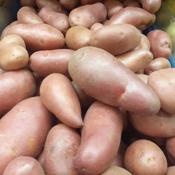 negozio-vendita-patate-novara negozio-vendita-patate-novara