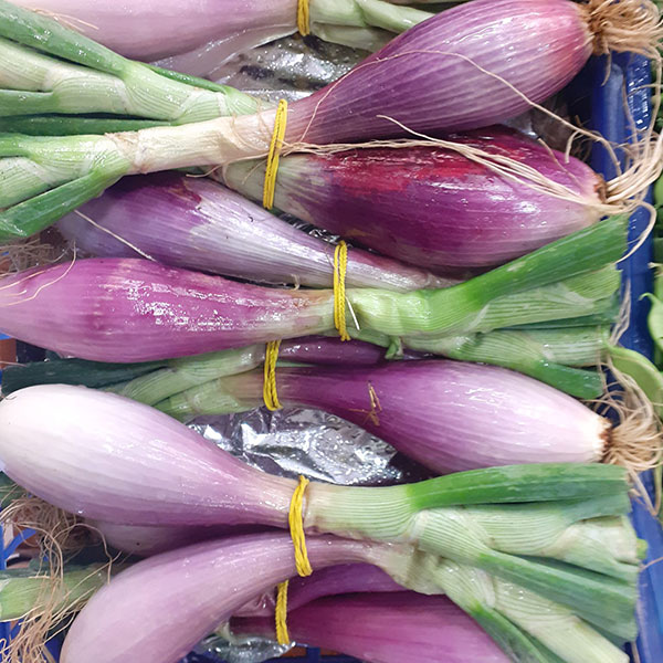 negozio-verdura-fresca-a-fusto-cipollotti negozio-verdura-fresca-a-fusto-cipollotti