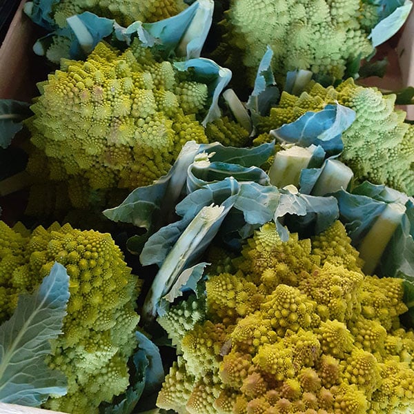 ortaggi-a-fiore-cavolo-romanesco ortaggi-a-fiore-cavolo-romanesco