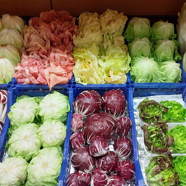 ortaggi-a-foglia-milano-novara