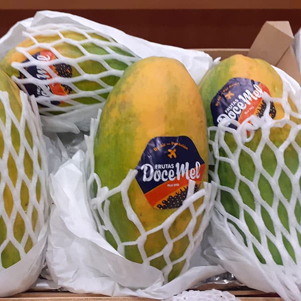 papaya-via-aerea papaya-via-aerea