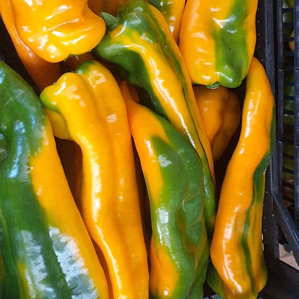 peperoni-lunghi-gialli-verdi peperoni-lunghi-gialli-verdi