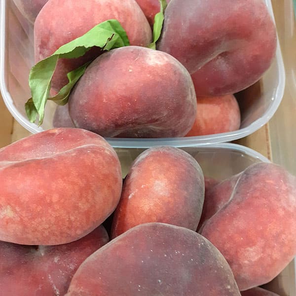 pesche-piatte-tabacchiere pesche-piatte-tabacchiere