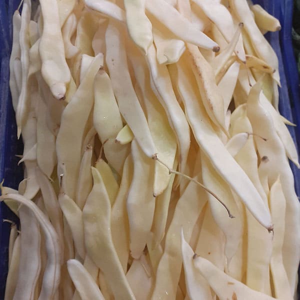 piattoni-bianchi-dove-trovarli piattoni-bianchi-dove-trovarli