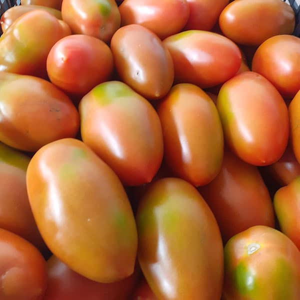 pomodori-insalatari-negozio-ortofrutta-milano pomodori-insalatari-negozio-ortofrutta-milano