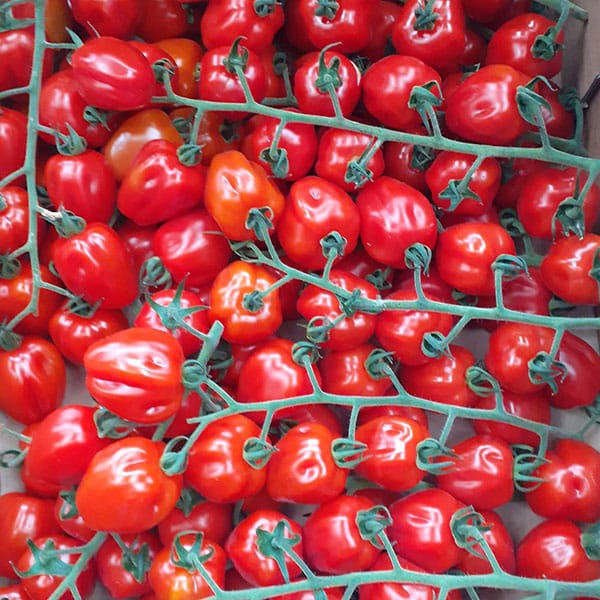 pomodori-pizzutelli-a-grappolo-vendita-verdure-frutto-milano pomodori-pizzutelli-a-grappolo-vendita-verdure-frutto-milano