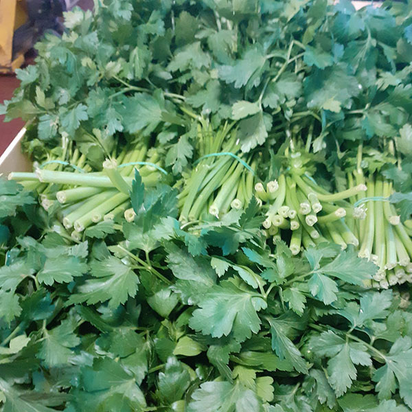 prezzemolo-fresco-per-pesto-ricette