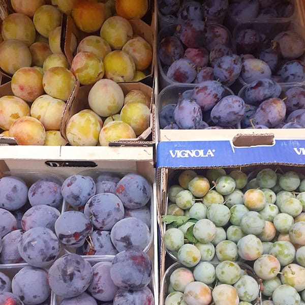 prugne-varie-tipologie-negozio-biologico-novara prugne-varie-tipologie-negozio-biologico-novara