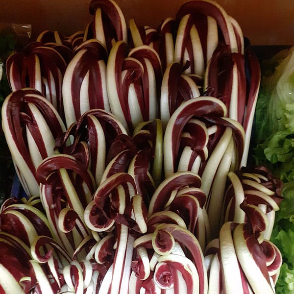 radicchio-viola-foglia-riccia radicchio-viola-foglia-riccia