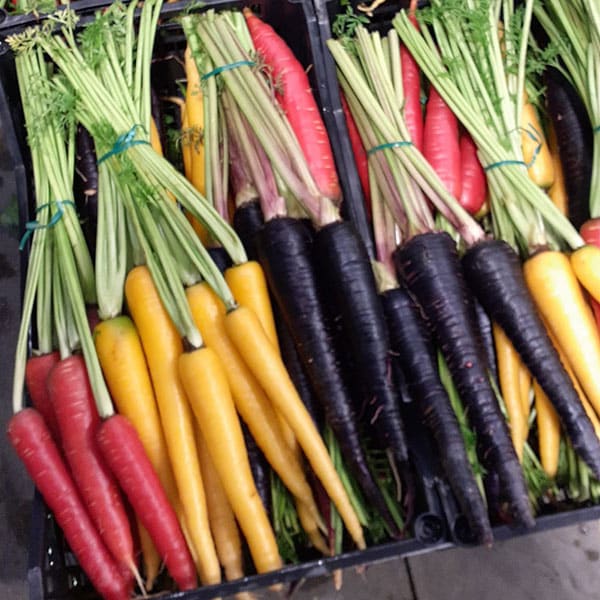 radici-tuberi-bulbi-ortofrutta-milano-novara