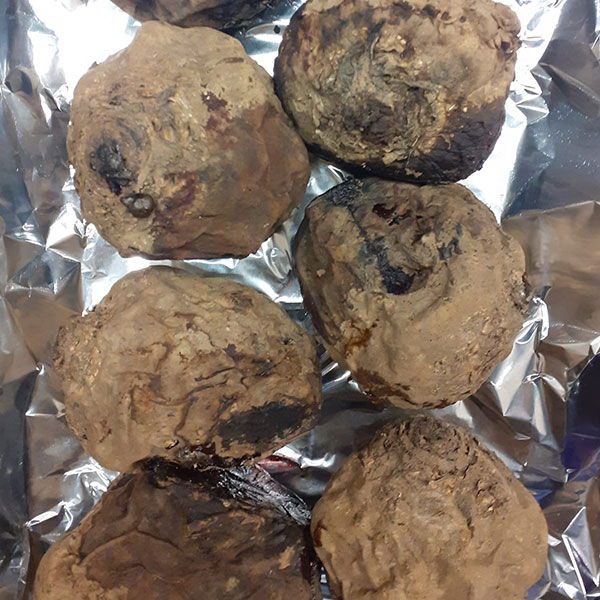 radici-tuberi-speciali-strani-particolari-vicino-milano