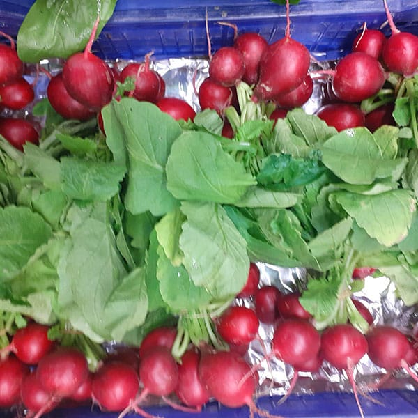 ravanelli-verdure-a-radice-ortofrutta-milano ravanelli-verdure-a-radice-ortofrutta-milano