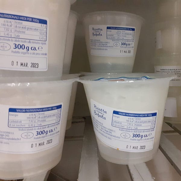 ricotta-capra-formaggi-freschi-caprini-novara