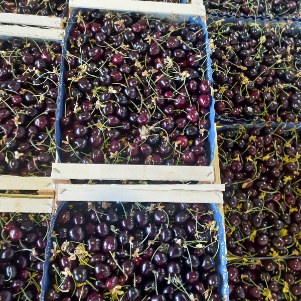 spaccio-frutta-verdura-per-ristoranti-consegna-domicilio-novara