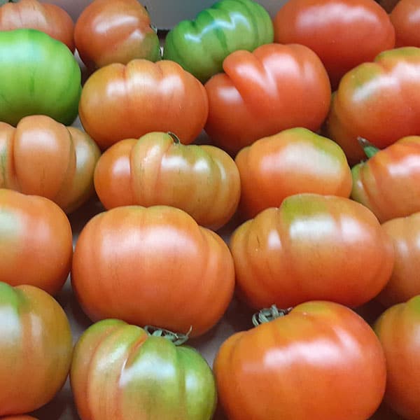 vedura-buona-stagione-pomodori-rossi vedura-buona-stagione-pomodori-rossi