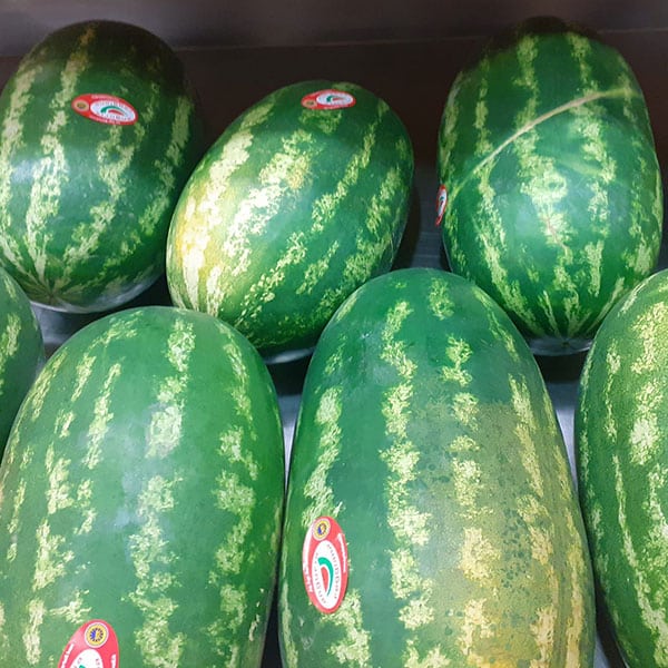 vendita-angurie-cocomero vendita-angurie-cocomero