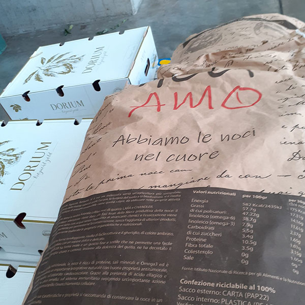 vendita-frutta-secca-sfusa-essiccata-noci-milano