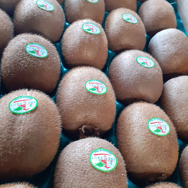 vendita-kiwi-negozio-frutta-esotica-vicino-novara vendita-kiwi-negozio-frutta-esotica-vicino-novara