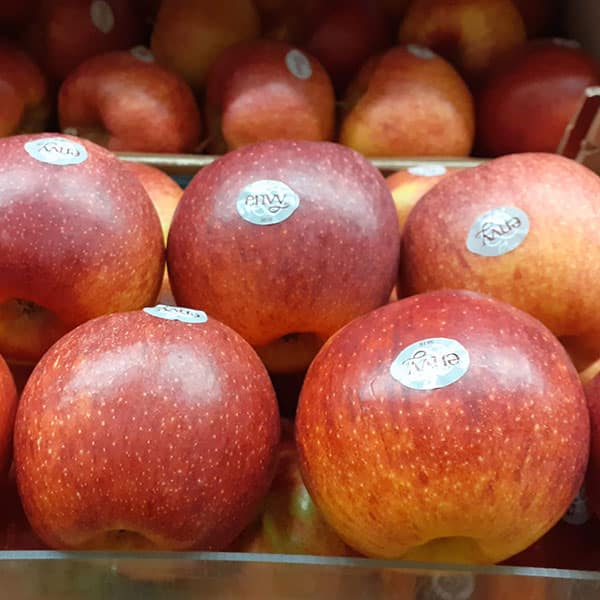 vendita-mele vendita-mele