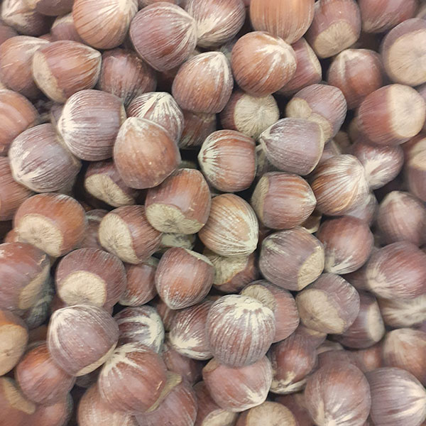 vendita-nocciole-sfuse-negozio-novara vendita-nocciole-sfuse-negozio-novara