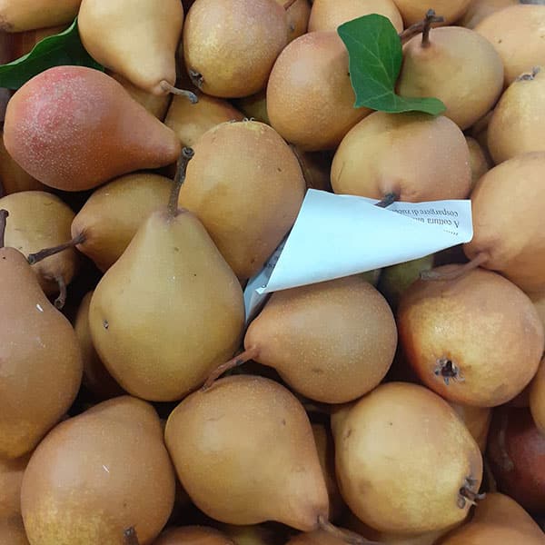 vendita-pere vendita-pere